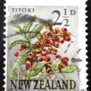 1961 - Titoki