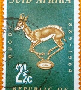 1964 - Springbok