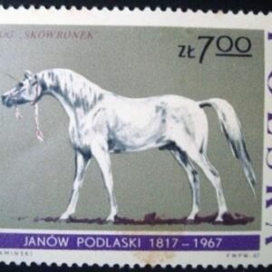 1967 - Stallion Skowronek