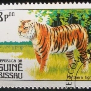 1984 - Tiger