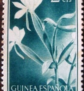 1956 - Pro indigenous