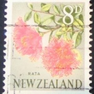 1960 - Climbing Rata