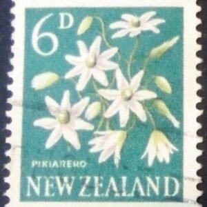 1960 - Pikiarero