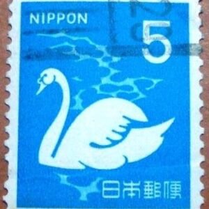 1971 - Mute Swan